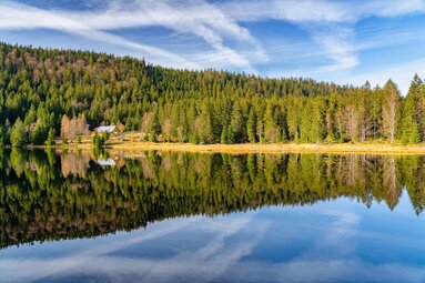 Im glatten Wasser des kleinen Arbersees spiegelt sich der herbstliche Wald und der blaue Himmel. | © Bodenmais Tourismus & Marketing GmbH