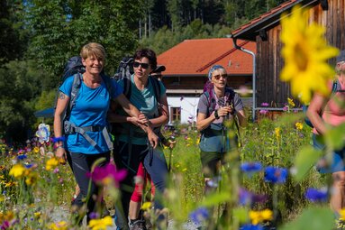 Mehrere Frauen mit Wanderrucksack laufen über einen Weg, der durch eine Wildblumenwiese führt. | © Bodenmais Tourismus & Marketing GmbH
