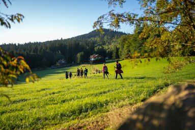 Eine Gruppe Menschen läuft hintereinander über eine Wiese während die aufgehenden Sonne alles in warmes Licht taucht. | © Bodenmais Tourismus & Marketing GmbH