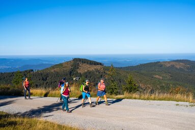 Vier Wanderer Wandern auf einem breitem Weg auf den großen Arber . Hinter ihnen sieht man den Kleinen Arber mit der Chamer Hütte. | © Bodenmais Tourismus & Marketing GmbH