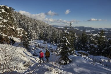 Zwei Personen laufen durch einen verschneiten Winterwald einen Berg hinauf. | © Bodenmais Tourismus & Marketing GmbH