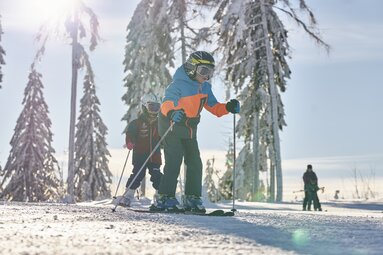 Zwei Kinder und ein Elternteil mit Kind sind mit Skiern auf einer recht flachen Piste am Silberberg unterwegs. | © Bodenmais Tourismus & Marketing GmbH