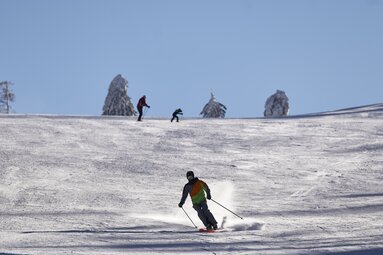 Drei Skifahrer fahren die Abfahrt am Silberberg bei blauem Himmel hinab. | © Bodenmais Tourismus & Marketing GmbH