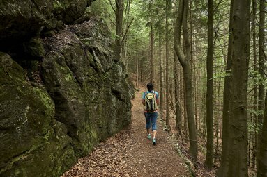 Eine Frau wandert im Sommer auf einem Waldweg. | © Bodenmais Tourismus & Marketing GmbH