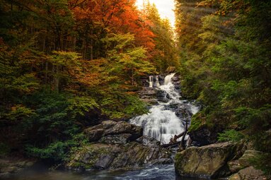 Blick auf den Rißloch Wasserfall mit herbstlichem Wald. | © Bodenmais Tourismus & Marketing GmbH