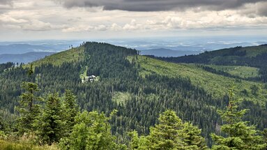 Man blickt auf einen mit Wald bewachsenen Berggipfel. Etwas unterhalb liegt eine Hütte. | © Bodenmais Tourismus & Marketing GmbH