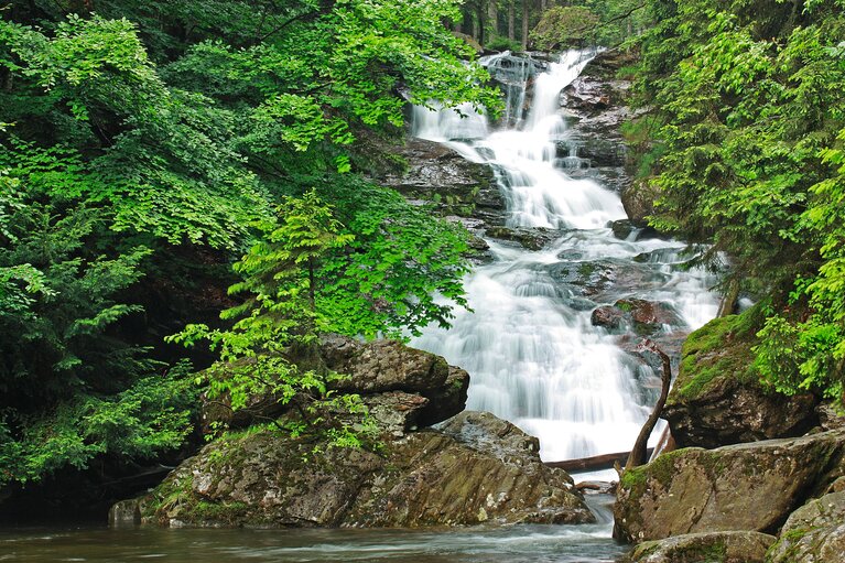 Ein Wasserfall stürzt durch den grünen Sommerwald | © Woidlife 