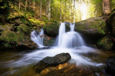 Wassermassen fallen über einen Fels in ein Becken. Drumherum sind die Steine mit Moos bewachsen. | © Bodenmais Tourismus & Marketing GmbH