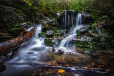 In mystischer Stimmung fällt der Rißloch Wasserfall in ein Becken, in dem Totholz liegt. | © Bodenmais Tourismus & Marketing GmbH