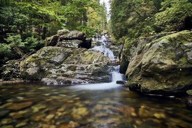Der Rißloch Wasserfall bahnt sich über viele Felsen seinen Weg nach unten. | © Bodenmais Tourismus & Marketing GmbH
